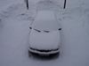 It snowed! (600x450, 19.3 kilobytes)
