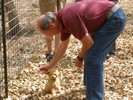 06_a. Getting acquainted at Lost Pond Ranch (103) (683x512, 145.6 kilobytes)