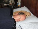 08_e. Always time for a nap (101) (683x512, 68.1 kilobytes)