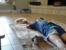 60_k. Nap time (101) (683x512, 78.8 kilobytes)
