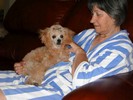 78_d. Back from the Groomers (102) (683x512, 72.7 kilobytes)