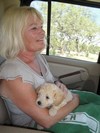 e. Coming home (101) (600x800, 81.7 kilobytes)